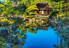 Colorful pond reflection Togu-do Hall, Ginkaku-ji Temple, Kyoto, Japan. Also known as Jisho-ji. Art Print